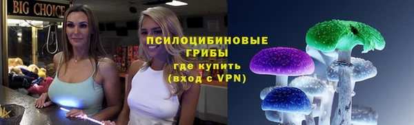 прущие крисы Шадринск