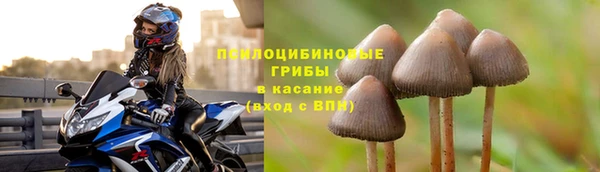прущие крисы Шадринск