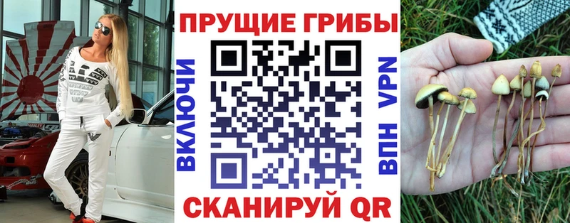 Псилоцибиновые грибы Psilocybine cubensis  цена наркотик  Сызрань 